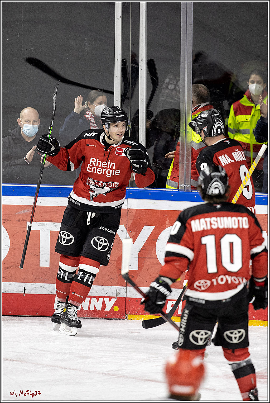 PENNY DEL;  Koelner Haie - Iserlohn Roosters; Koeln, 20.02.2022